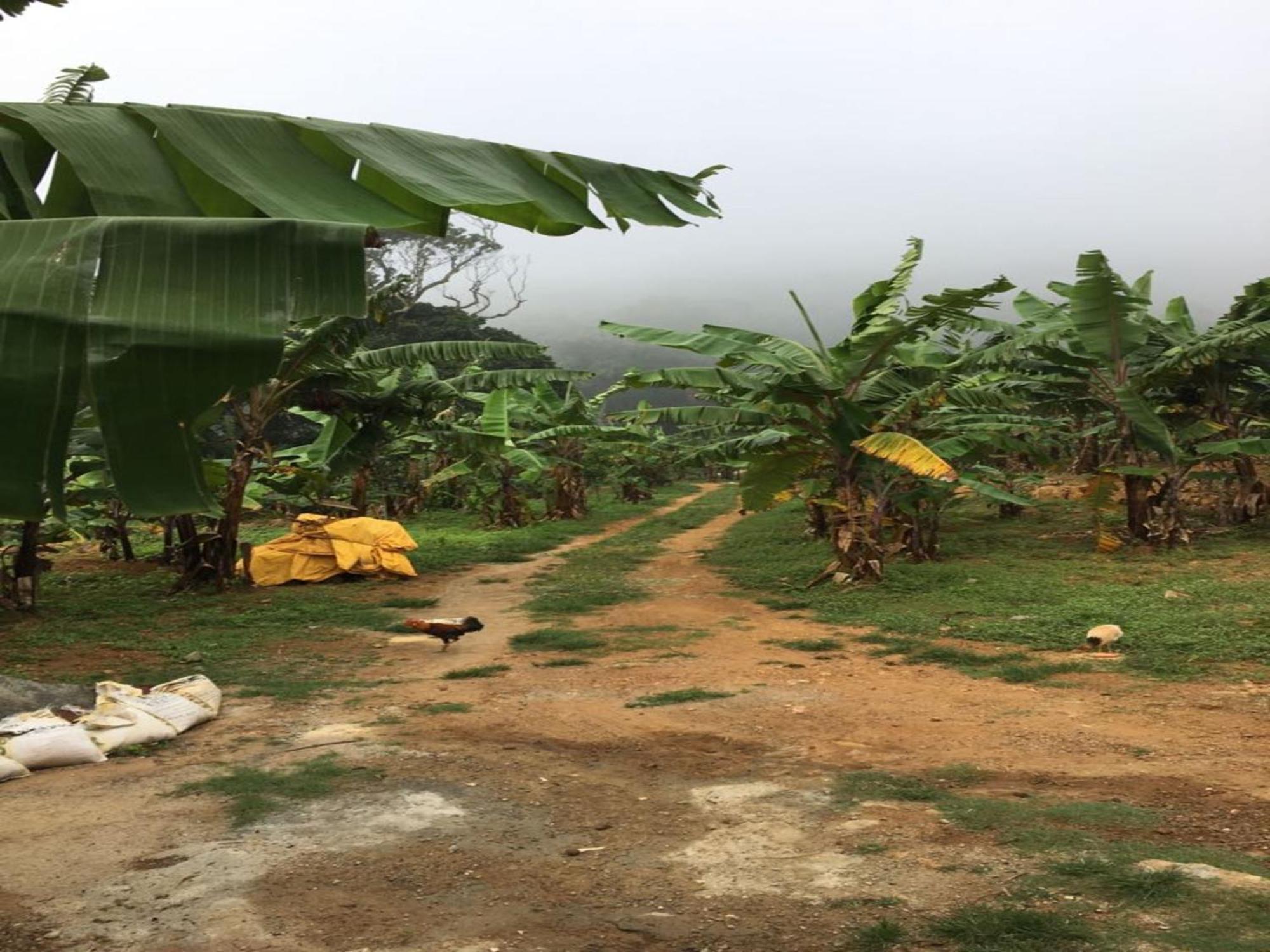 Coastal Grand Mahendravanam - Kolli Hills Luaran gambar