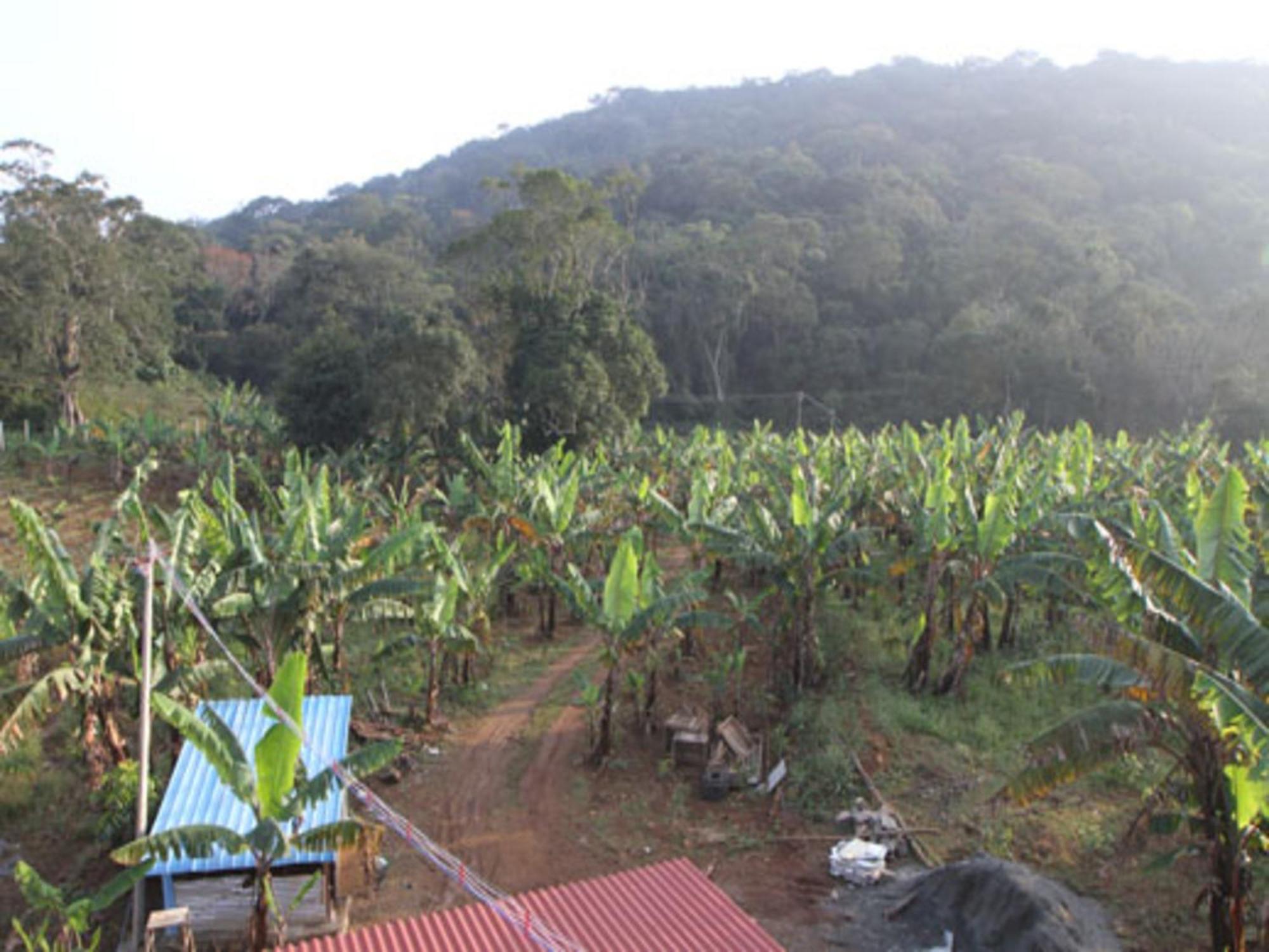 Coastal Grand Mahendravanam - Kolli Hills Luaran gambar